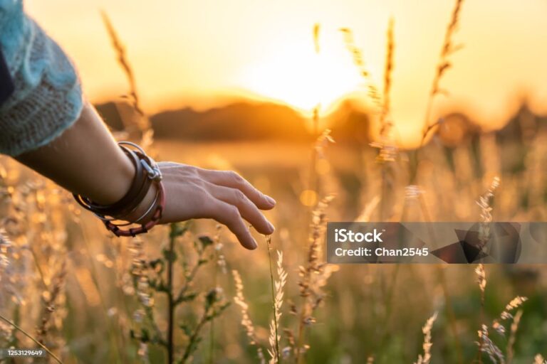 محبت گر انتہا کی ہے