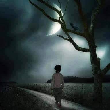 میری غزلوں کا سبب