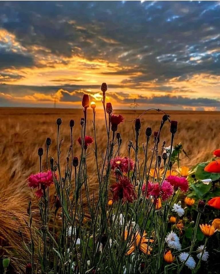 ضرب جمال یار ہو