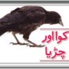 کوا اور چڑیا