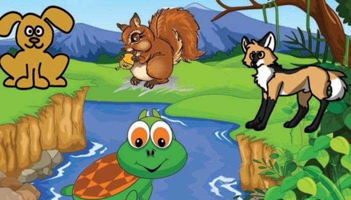 کچھوے کی ہوشیاری