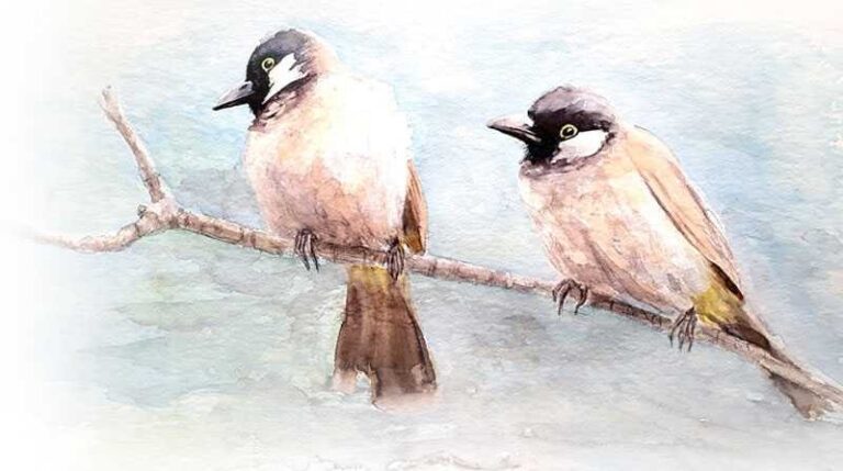 چڑیا کا بدلہ