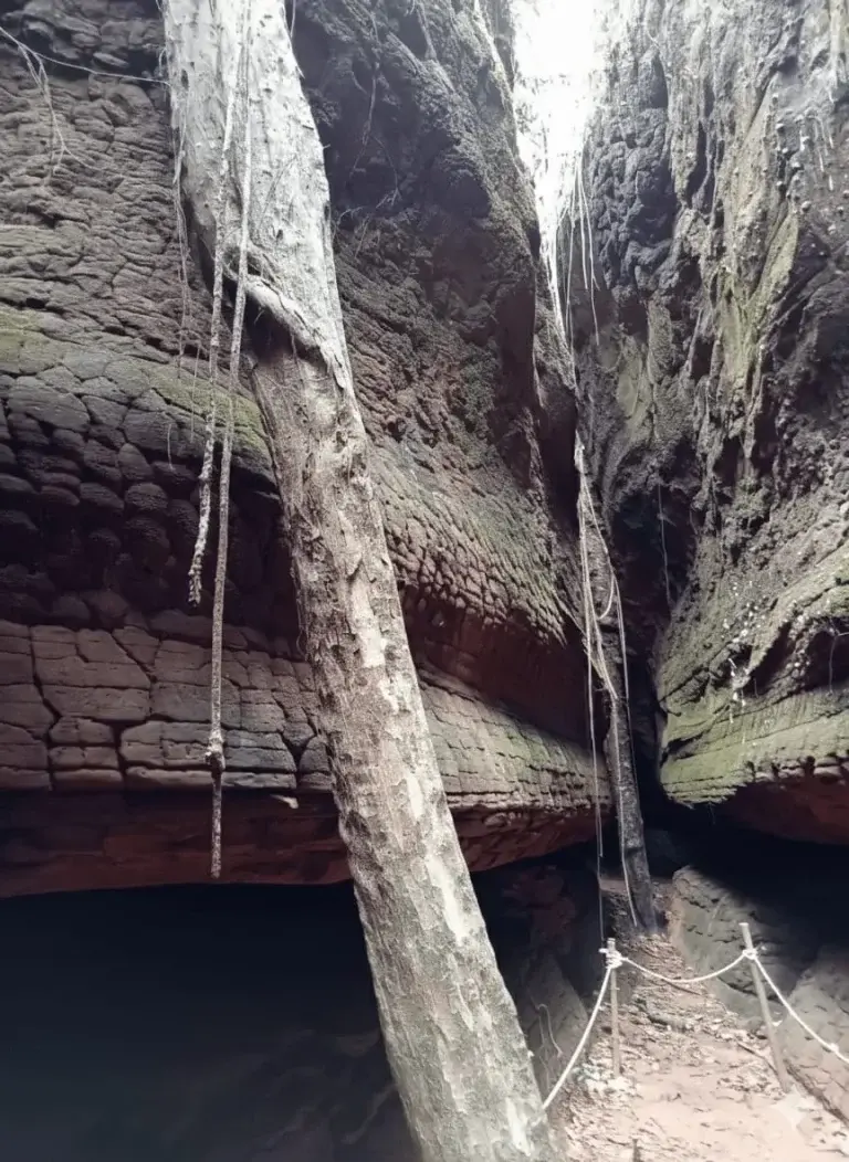 تھائی لینڈ کی Snake Cave